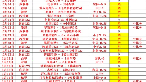 拉什福德大揭秘：西班牙海鲜饭成足球新星的美食首选！